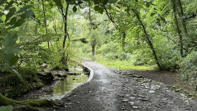 Stone path leading alongside a leat through a woodland in Devon